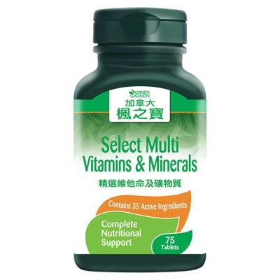 ADRIEN GAGNON Select multi vitamins & minerals 75 tablets