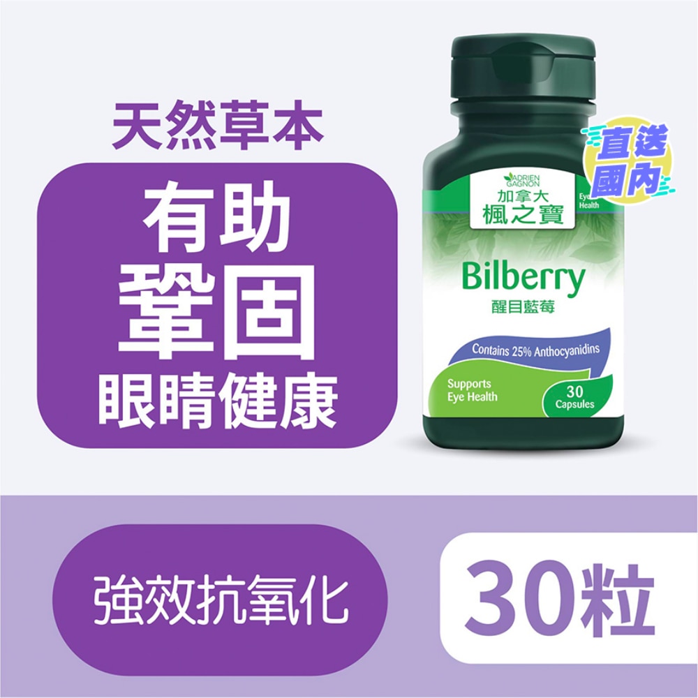 醒目蓝莓 (30粒)