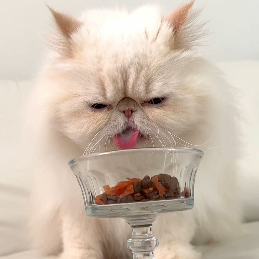 Natural Grain-Free Chicken Tenders (Topping)Cat Snacks 35g｜Spend $200, $300 or $400, get 1 gift(FREE DELIVERY UPON $300; SUPPLIER DELIVERY–5 WORKING DAYS)