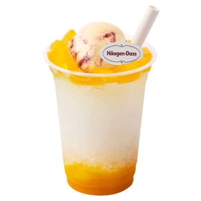 HAAGEN-DAZS (e-Voucher) Mango Sparkling e-Voucher (Last Redemption Date: 31 Dec 2024)