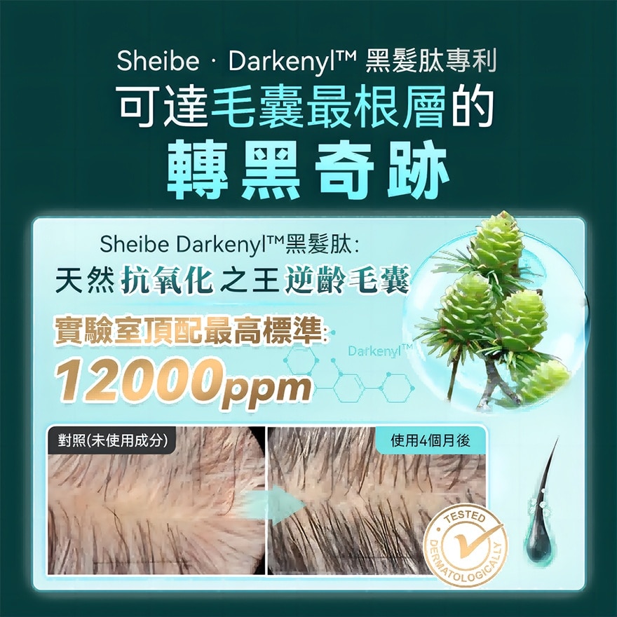 日本SHEIBE天然黑髮AGE-REVERSAL強效防脫黑髮生髮洗髮水(商家直送-8個工作天內送到府上;滿$599免運)