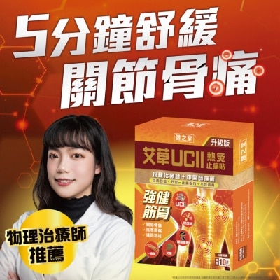 HEALTHALL - 健之堂艾草UCII熱灸止痛貼 10片