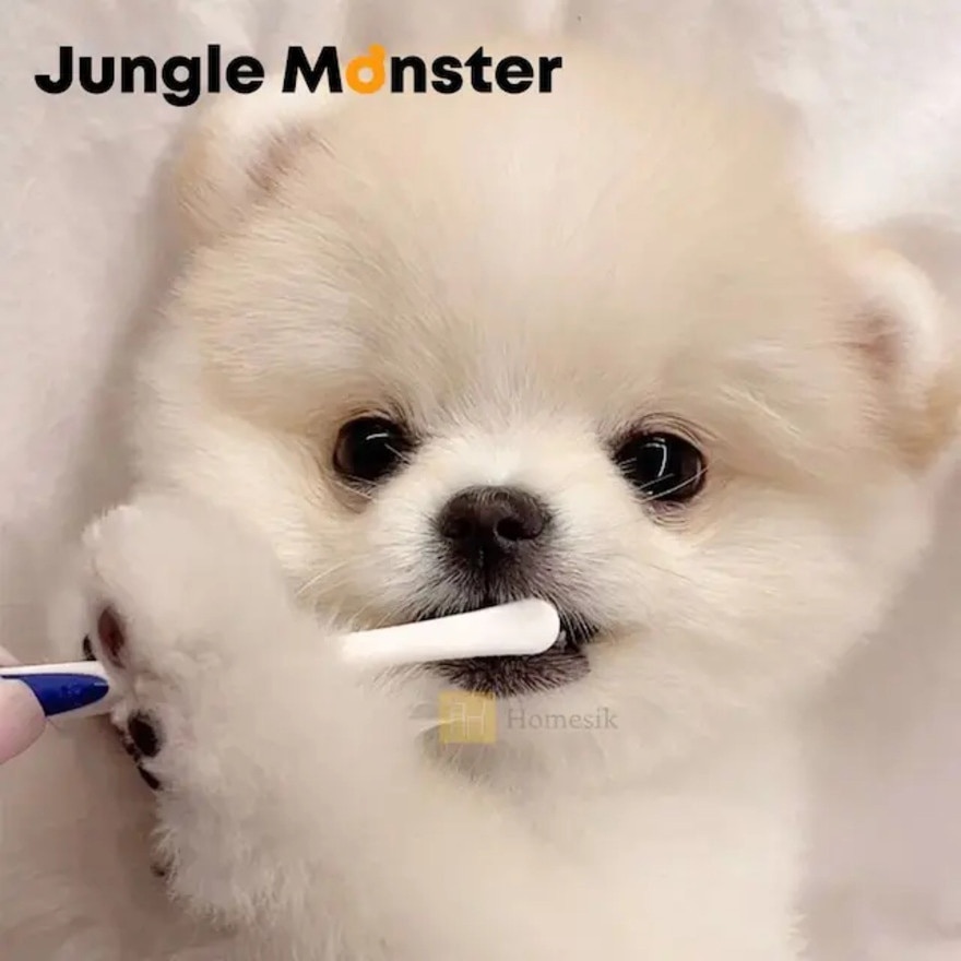 Dentisoft 小型犬 / 猫咪 极细密软毛宠物牙刷 3件套装 (商家直送-5个工作天内送到府上;满$500免运)