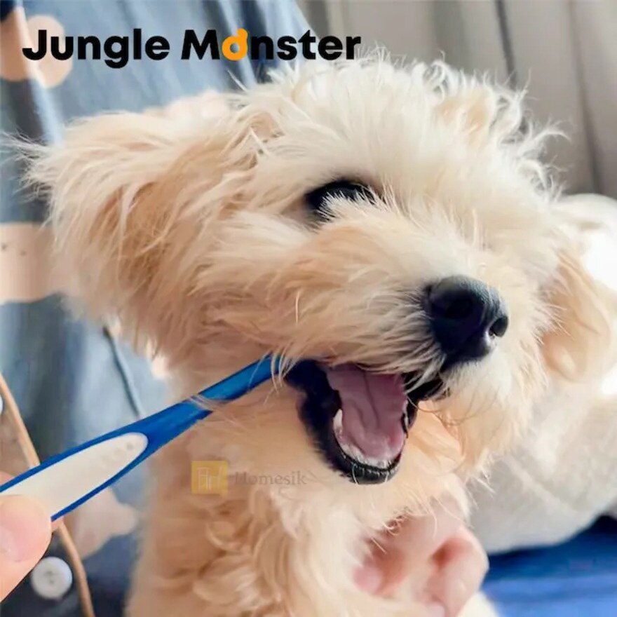 Dentisoft 中/大型犬 极细密软毛宠物牙刷 3件套装 (商家直送-5个工作天内送到府上；满$500免运)