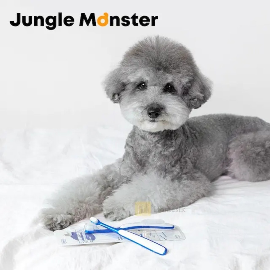 Dentisoft 中/大型犬 极细密软毛宠物牙刷 3件套装 (商家直送-5个工作天内送到府上；满$500免运)