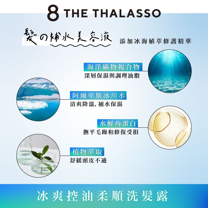 冰爽控油柔順洗髮露