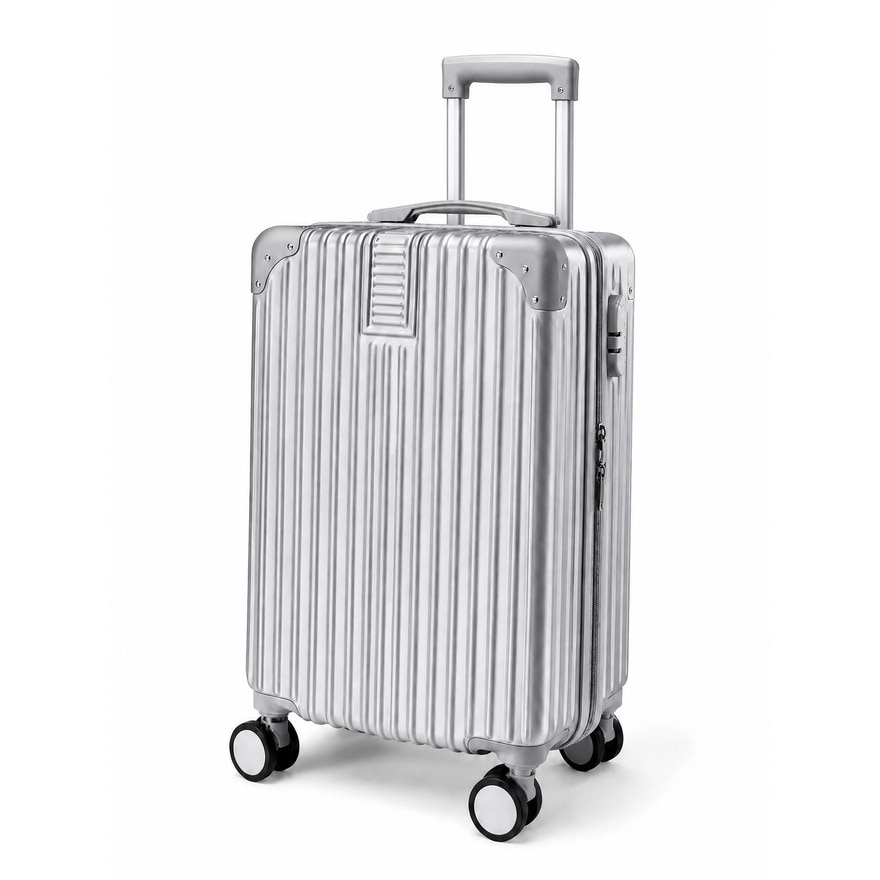 20" SILVER LUGGAGE image