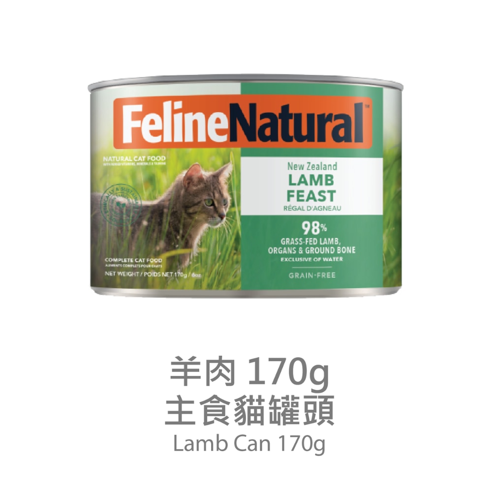 F9 Lamb Feast (170g) Cat Can 518605
